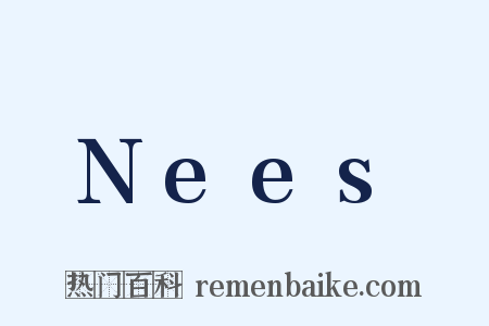 Nees是什么意思的图片